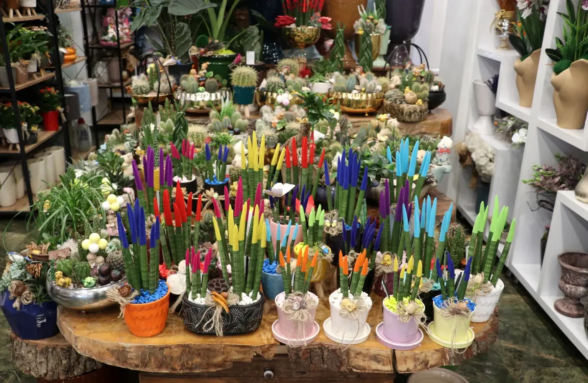 Anneler Günü\'nde Saksı Çiçekleri Popüler