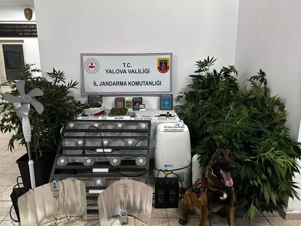 Uyuşturucu İmalatçısı Tutuklandı
