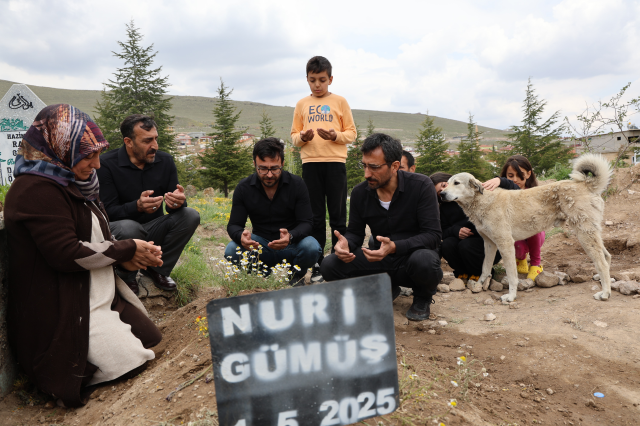 Garip, sahibinin mezarının başından ayrılmıyor