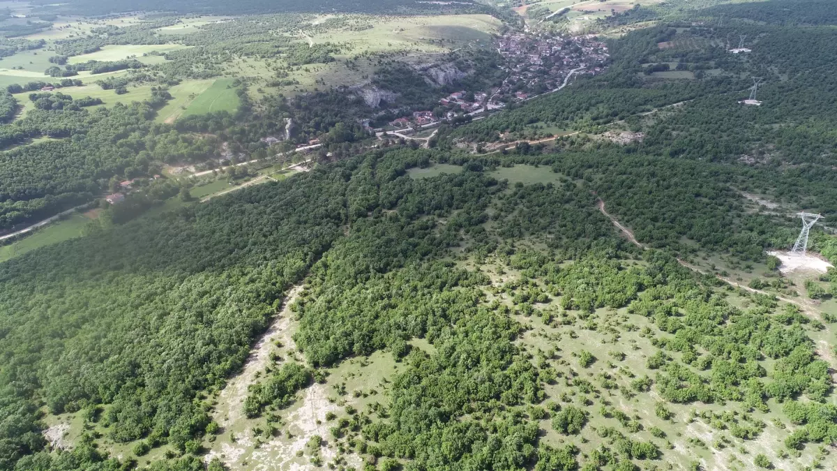 Kırklareli\'nde Ormanlara Giriş Yasağı