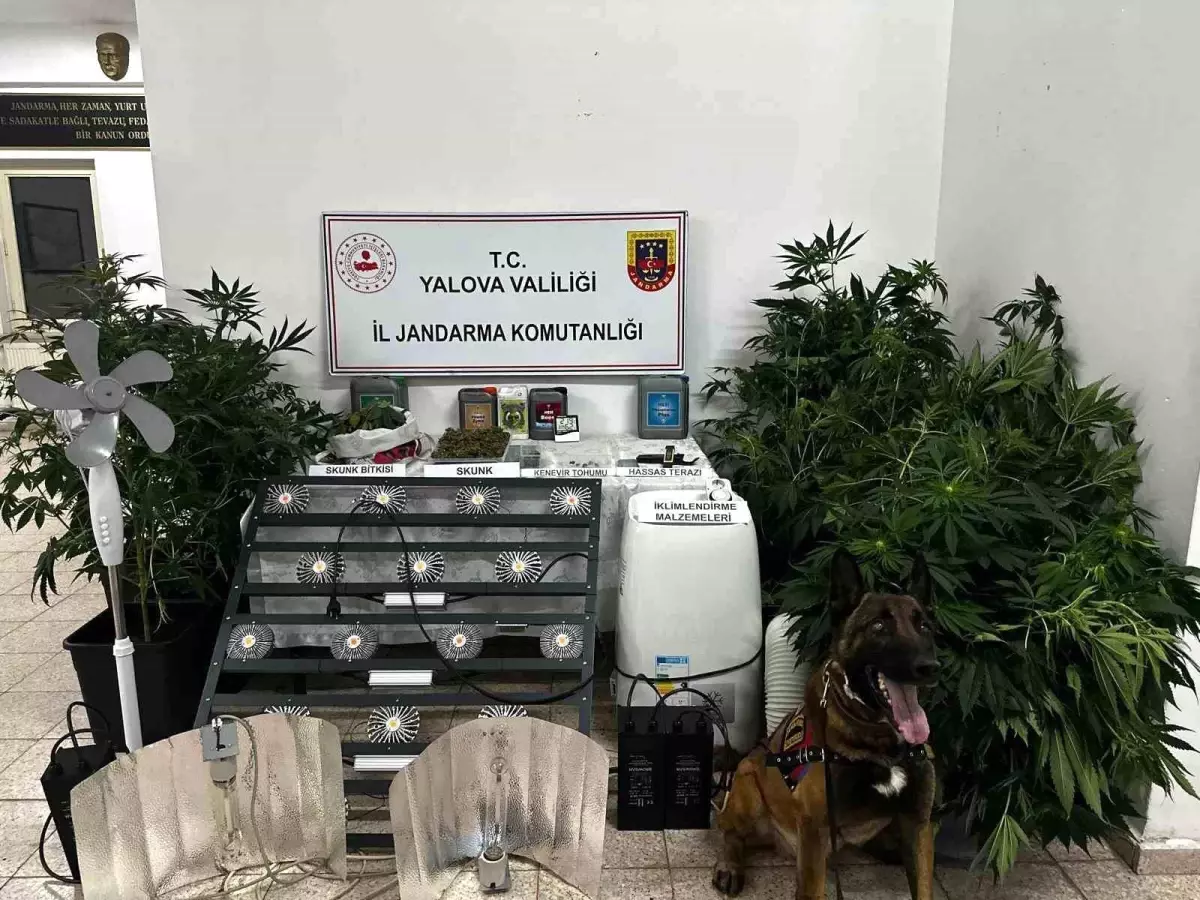 Çınarcık\'ta Uyuşturucu Düzenek Operasyonu