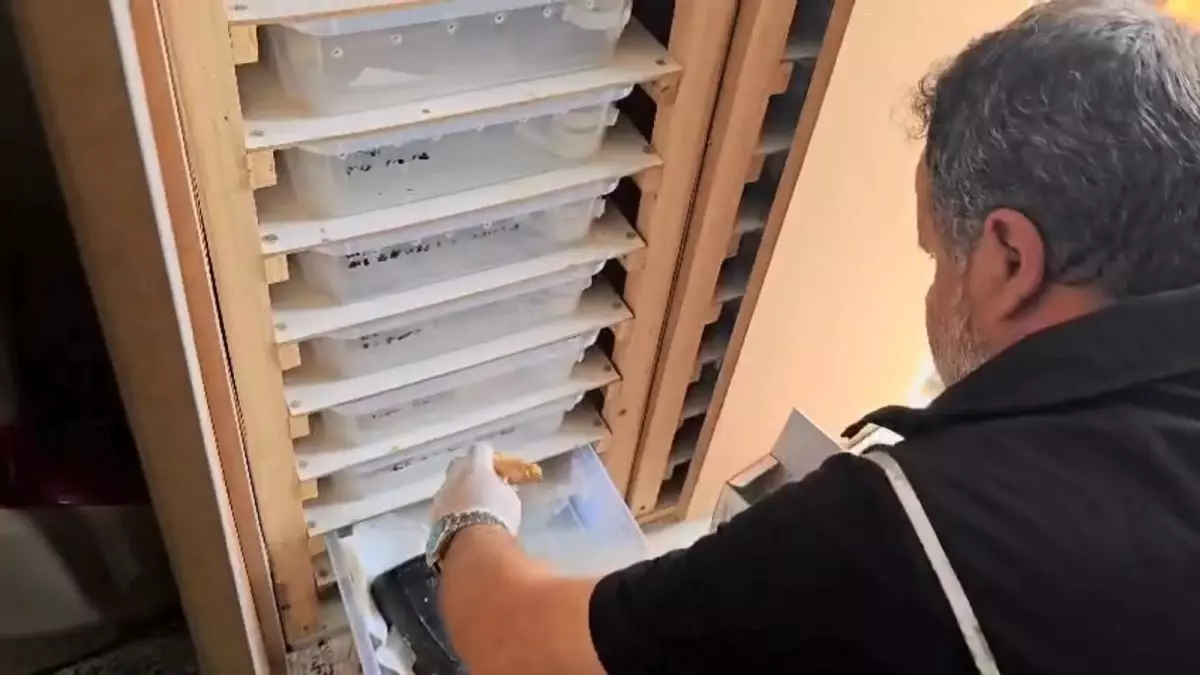 Bursa\'da Yasa Dışı Hayvanlara Operasyon