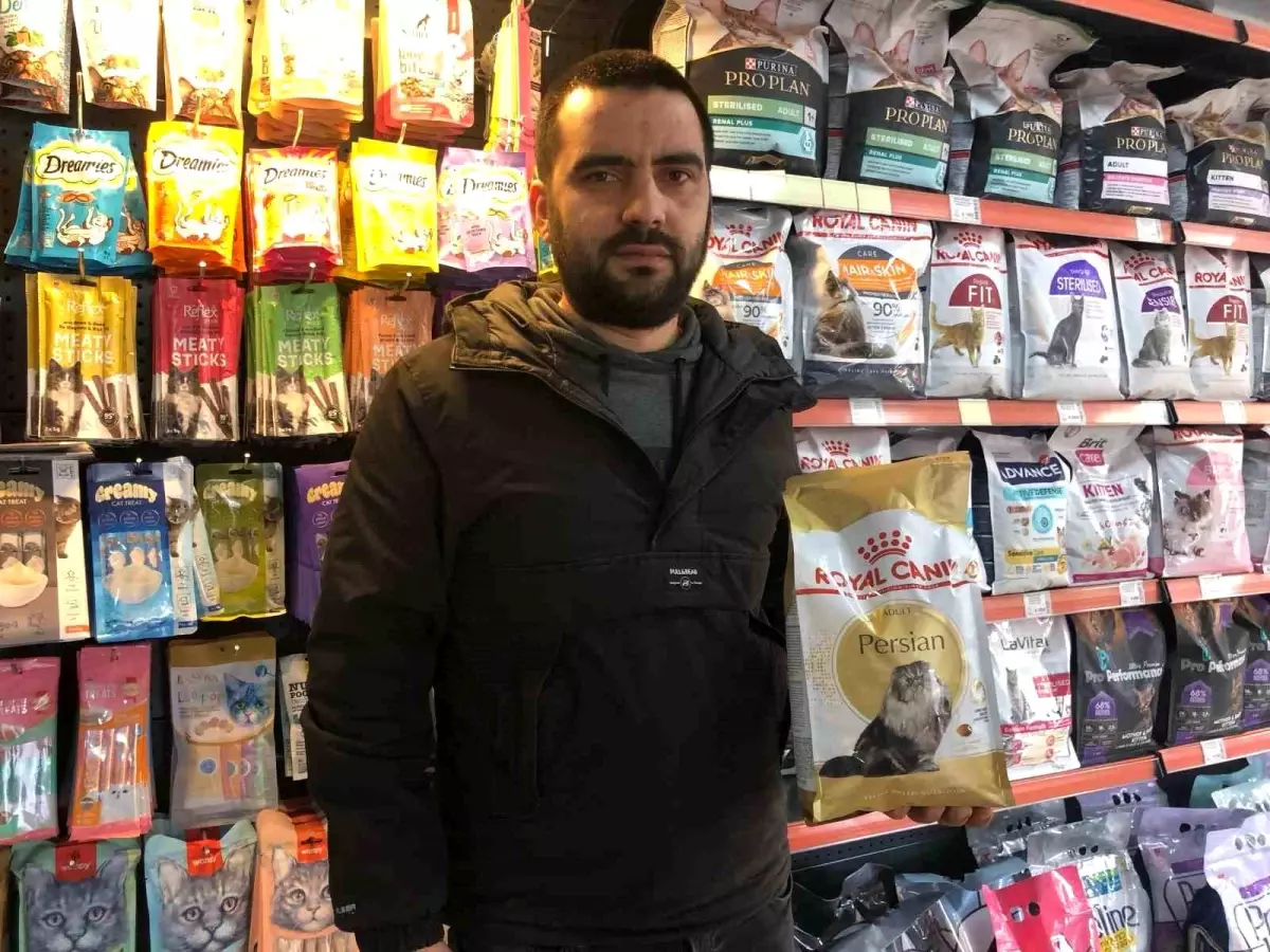 Hayvan Sahiplenirken Bilinçli Olun!