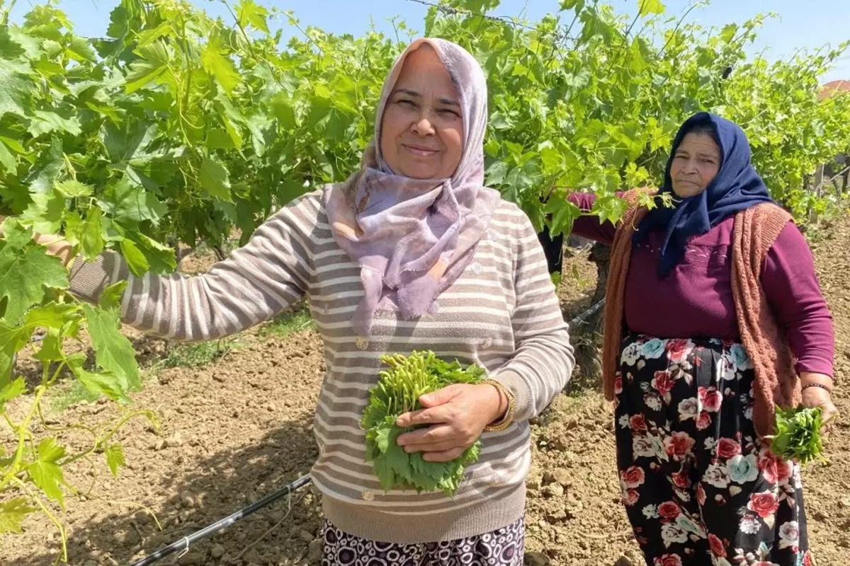 Kilosunu 70 TL\'ye satıyorlar hiç masrafı yok