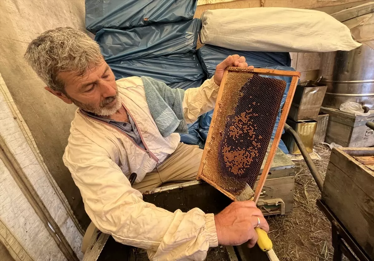 Kumluca\'da Narenciye Balı Hasadı Başladı