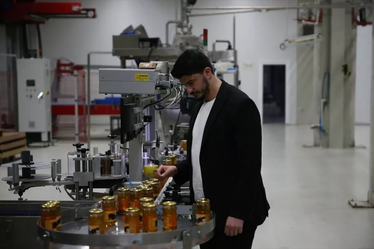 Ordu\'da Bal Analiz Laboratuvarı 40 Bin Analiz Yaptı