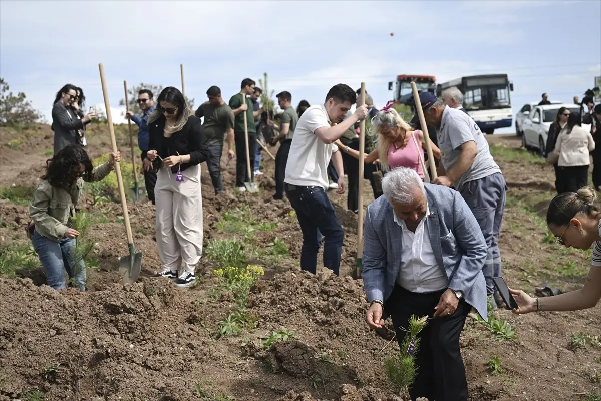 Kadına Şiddete Dikkat: 2 Bin Fidan Dikildi