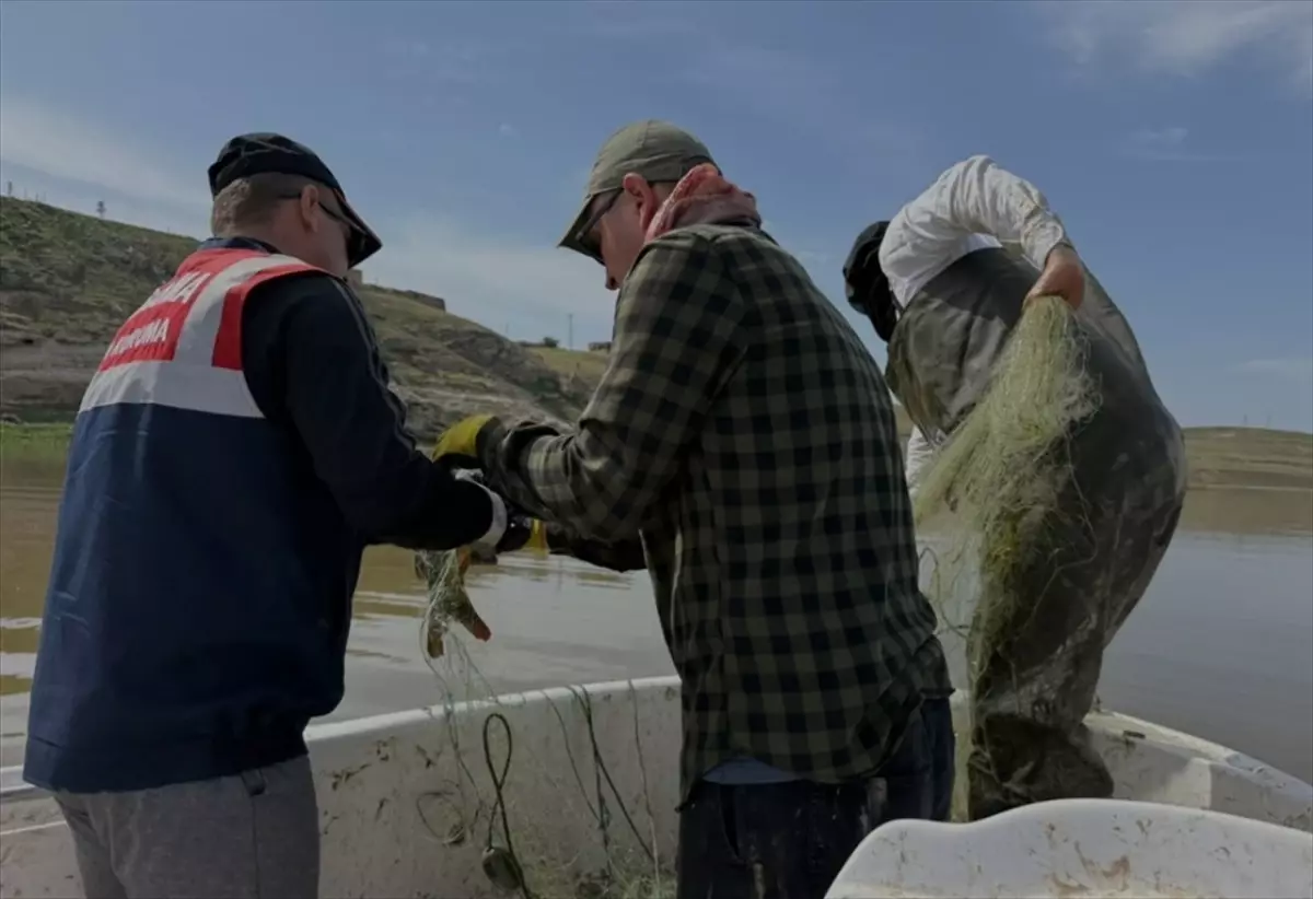 Batman\'da Kaçak Balık Avı İle Mücadele