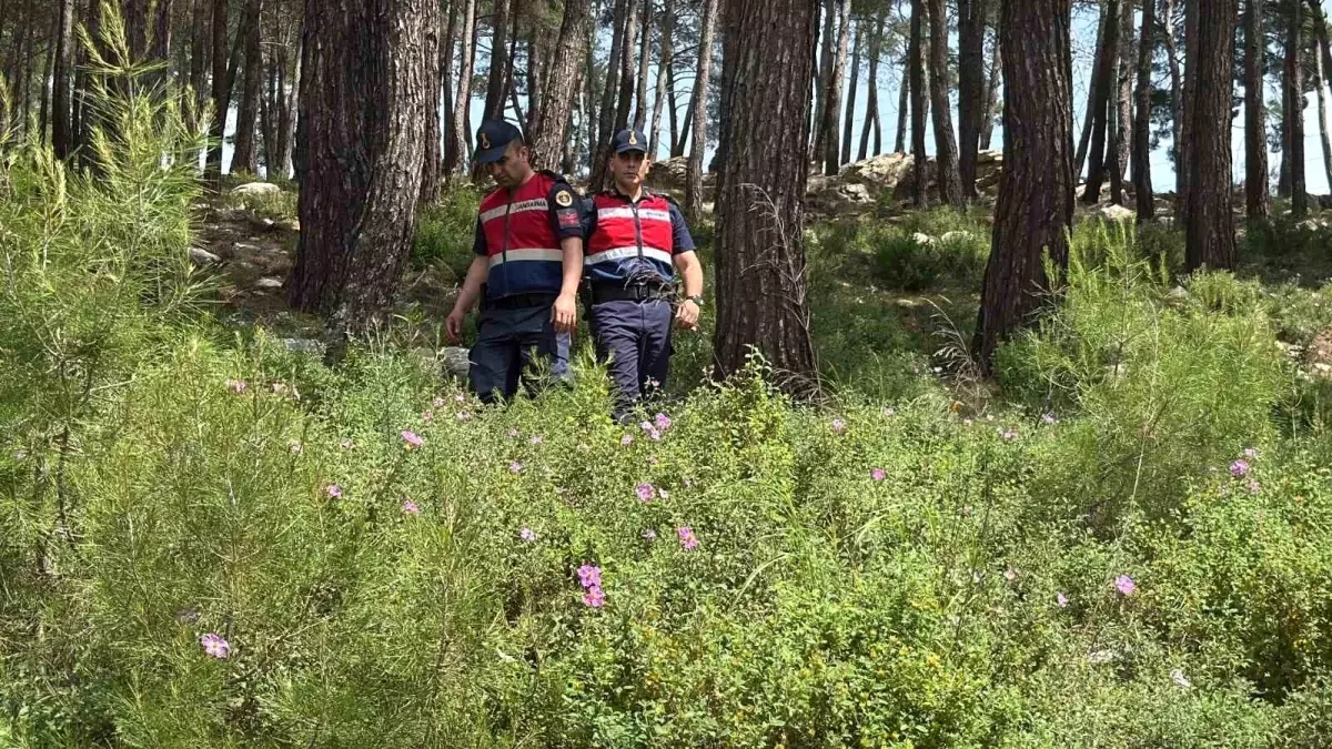 Bodrum\'da Orman Yangınları İçin Denetim Seferberliği