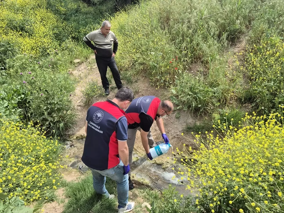Çanakkale\'de Sivrisinekle Mücadele Başlatıldı