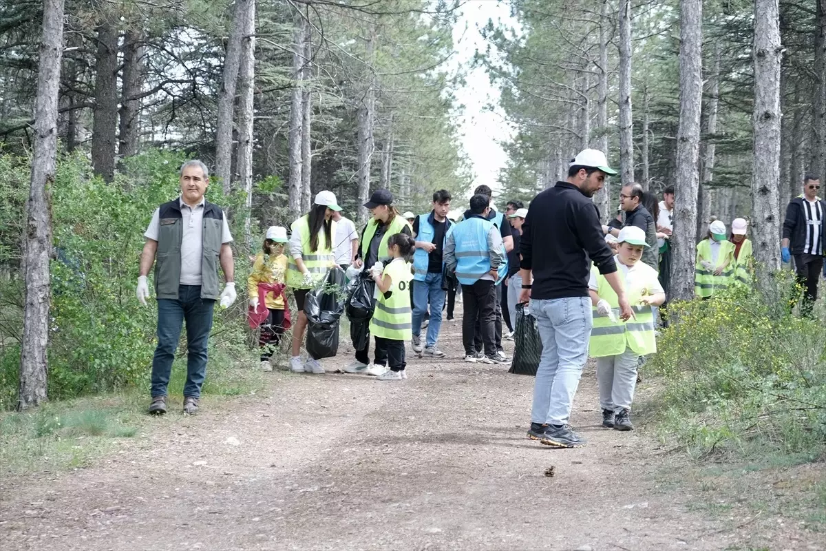 Çankırı\'da \'Orman Benim\' Etkinliği Düzenlendi