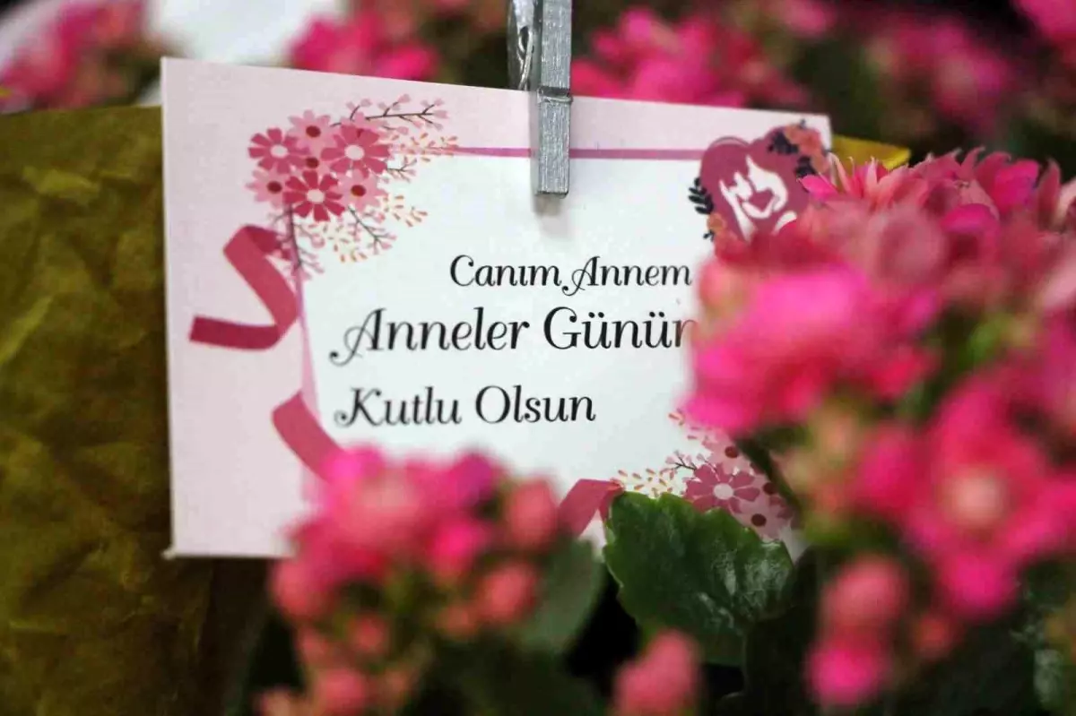 Anneler Günü için çiçekçilerde yoğunluk!