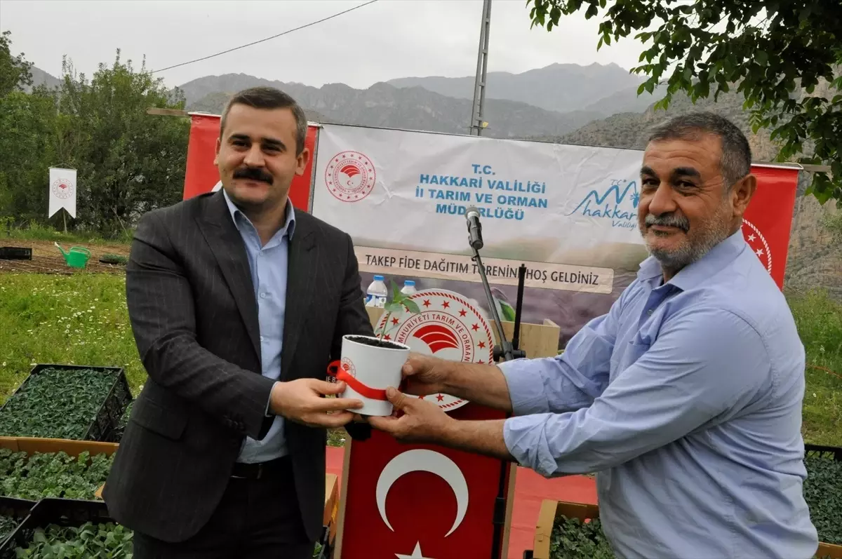 Çukurca\'da Çiftçilere 43 Bin Fideler Dağıtıldı