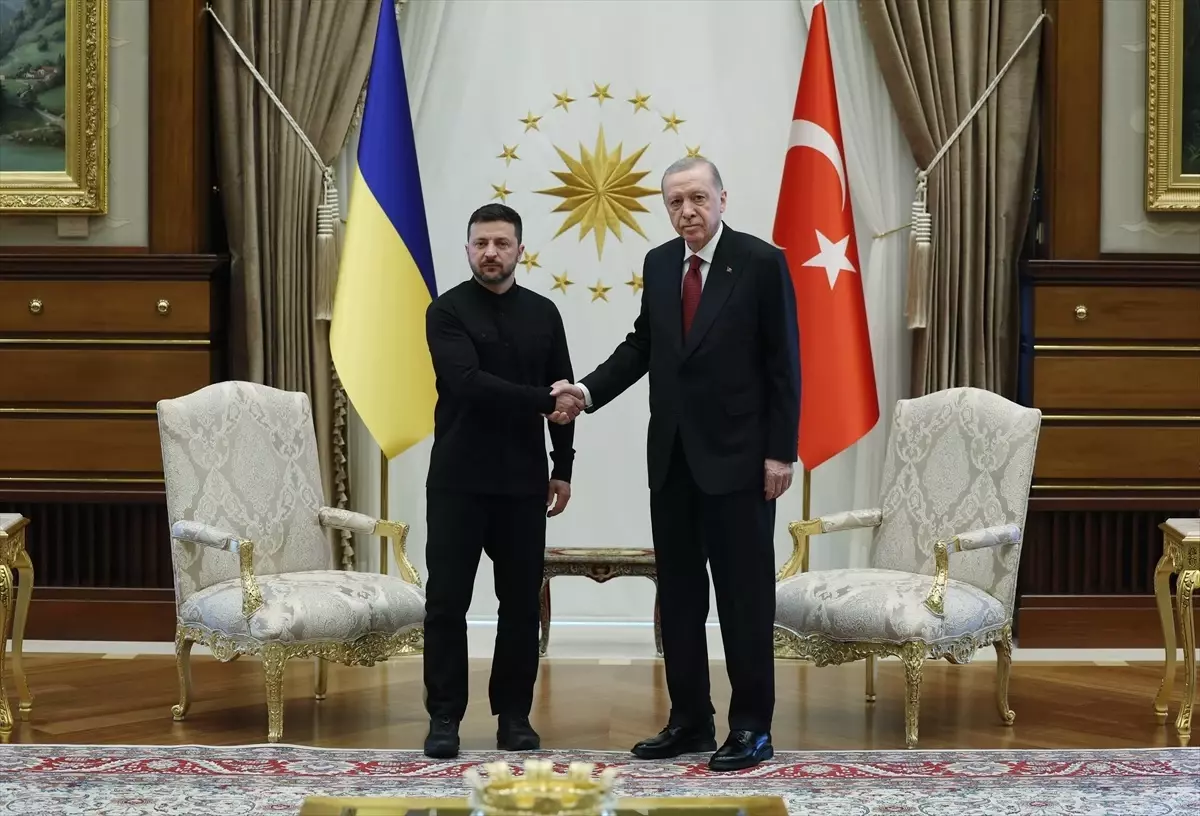 Cumhurbaşkanı Erdoğan\'ın, Ukrayna Devlet Başkanı Zelenskiy ile görüşmesi başladı