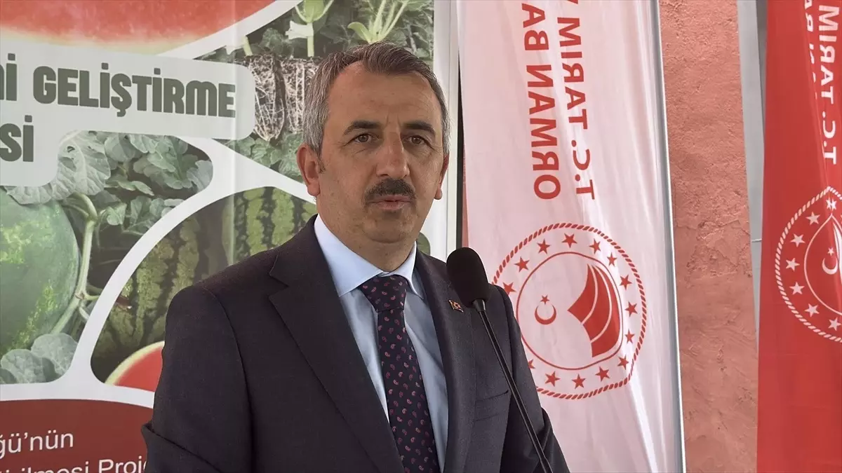 Edirne\'de Çiftçilere Karpuz Fidesi Dağıtımı
