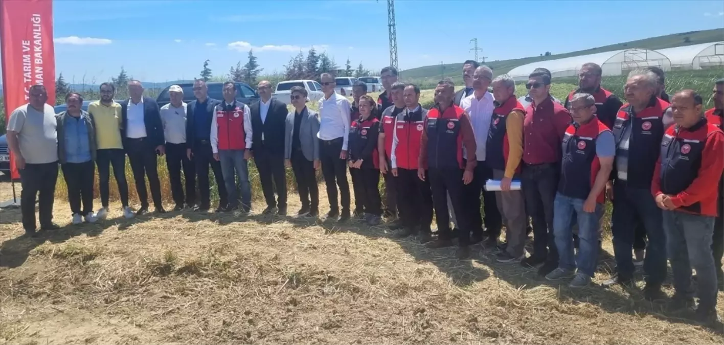 Dünya Çiftçiler Günü Gelibolu\'da Kutlandı