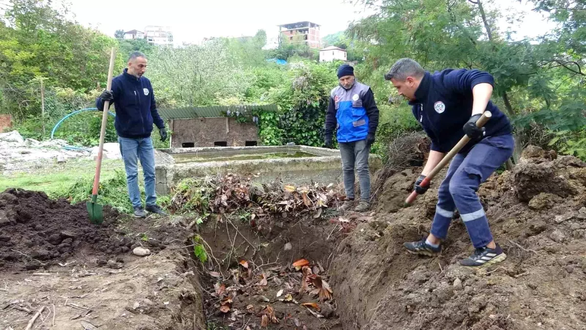 Giresun\'da Balık Atıkları Çevre Dostu Projede Değerlendiriliyor