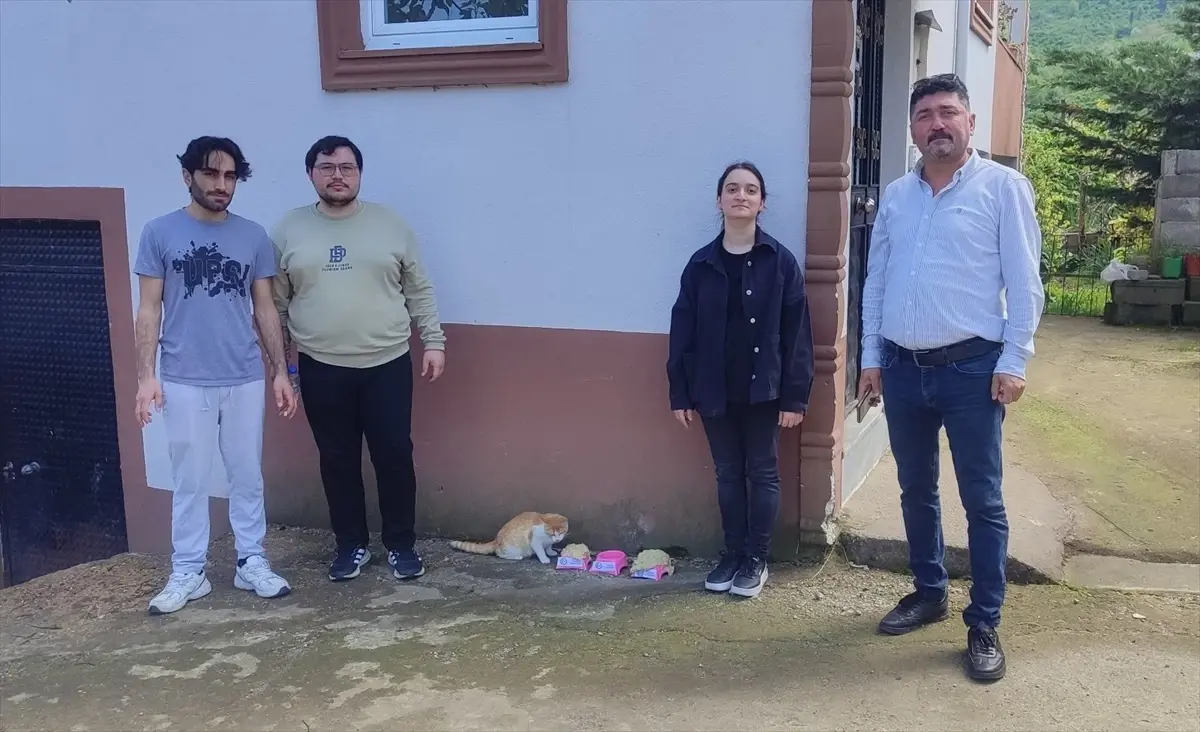 Giresun\'da Öğrenciler Kedilere Mama Hazırladı
