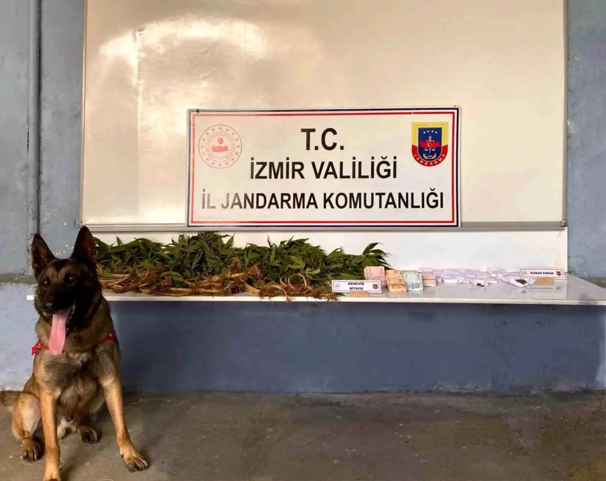 Ödemiş\'te Uyuşturucu Baskını