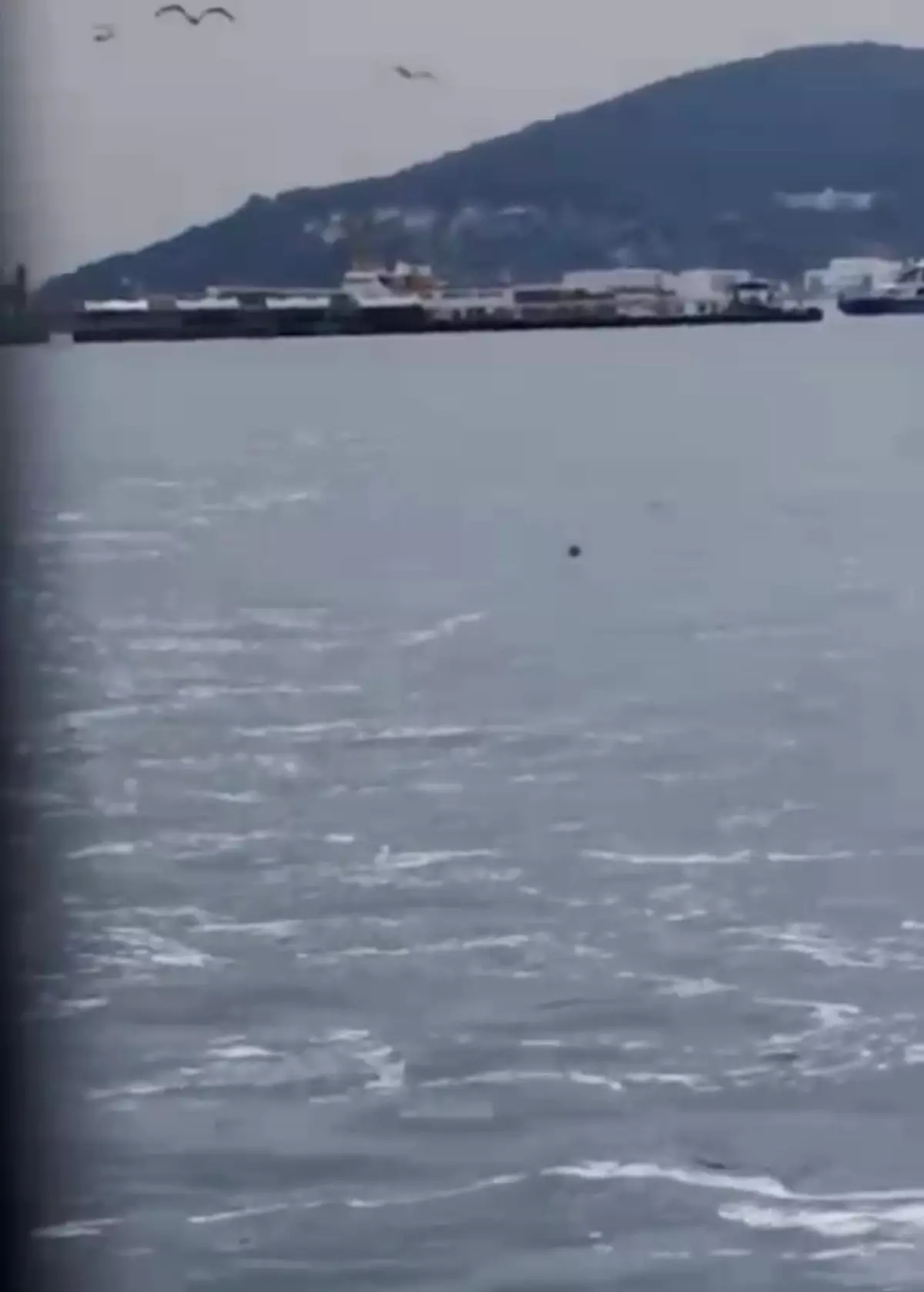 Denizden Kurtarılan Kadın