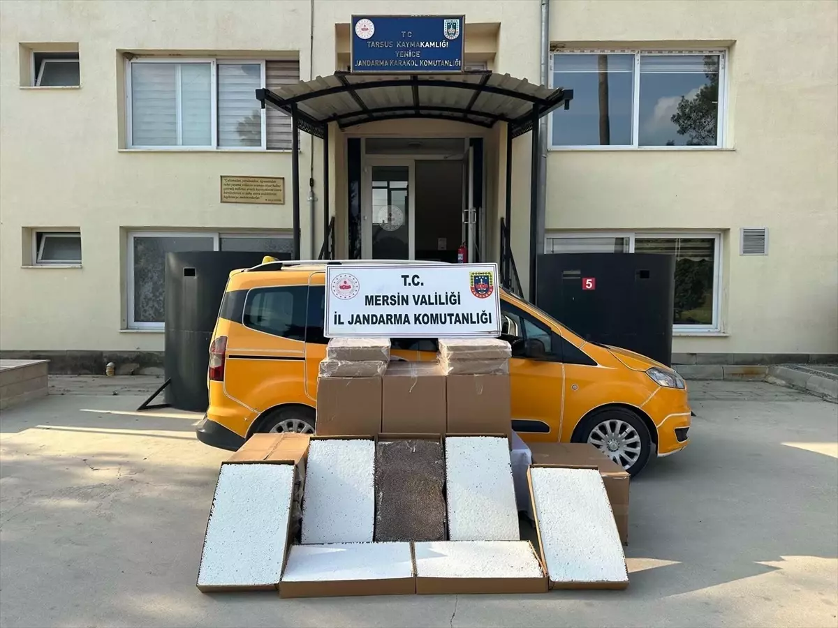 Mersin\'de Kaçak Tütün Operasyonu