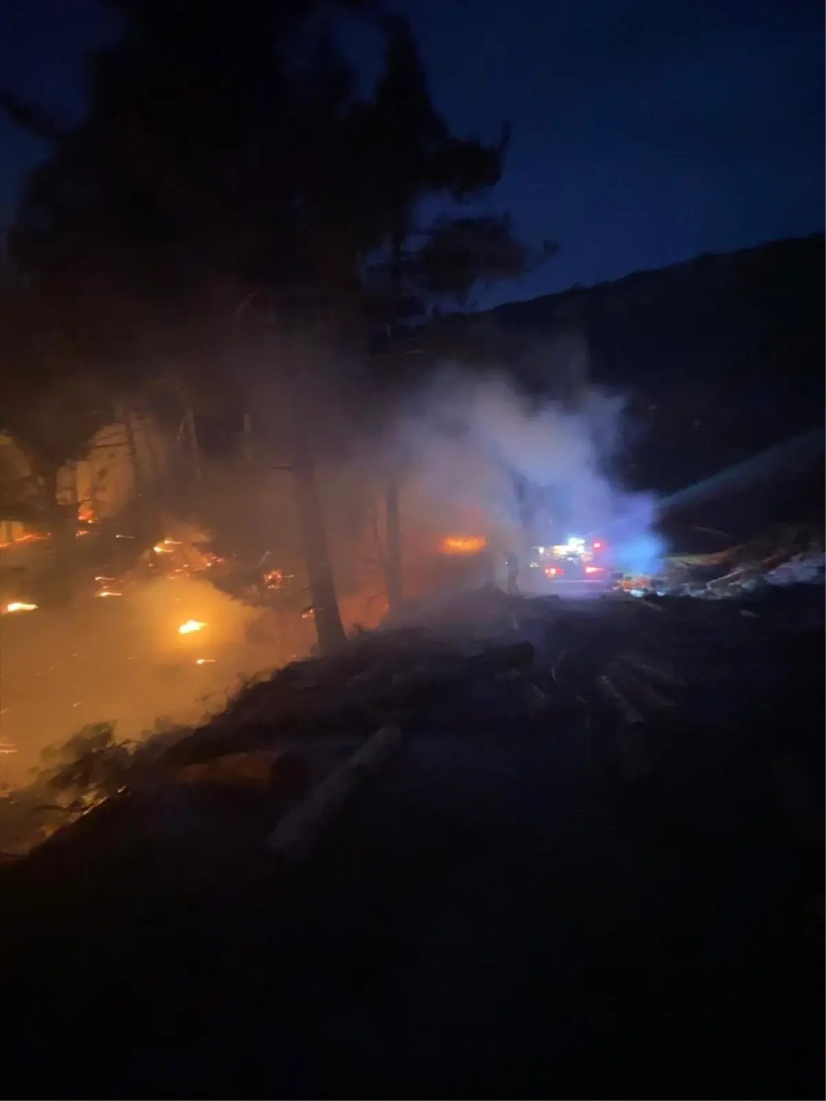 Tarsus\'ta Orman Yangını Kontrol Altına Alındı