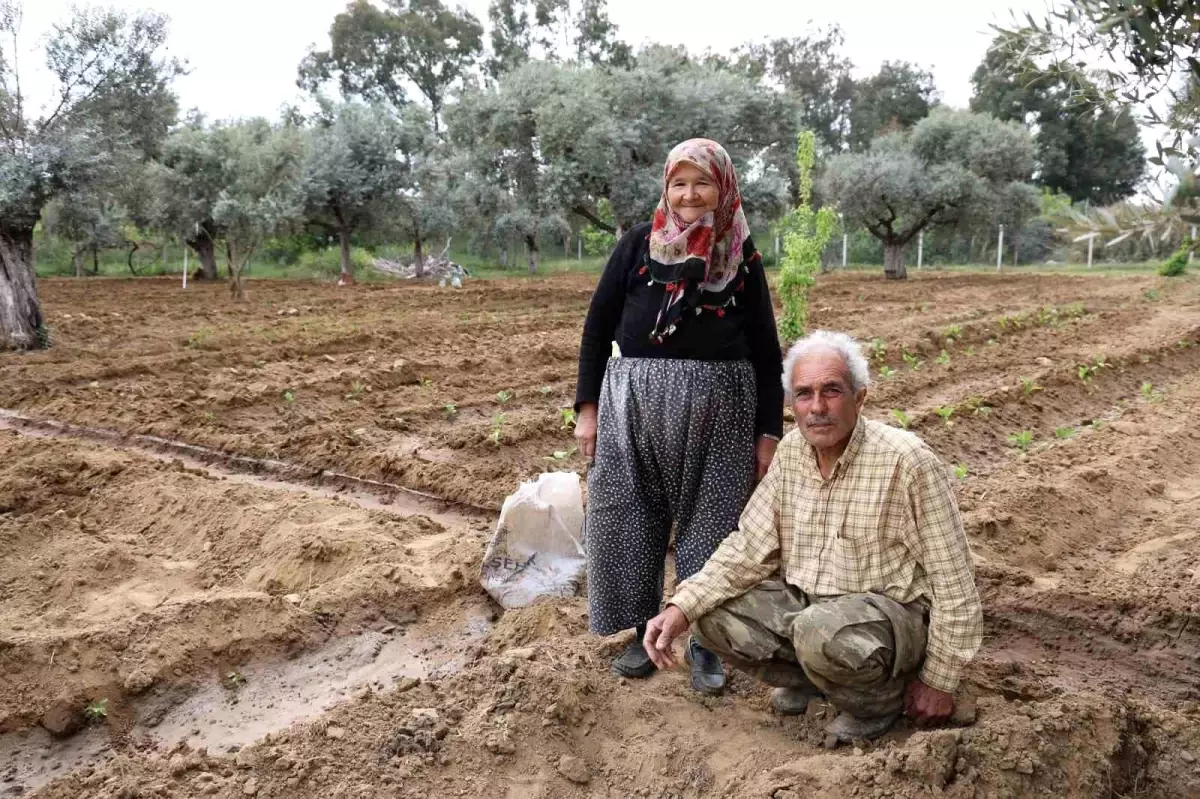 Toprağın Mutluluğu: Kurtarıcı Çifti