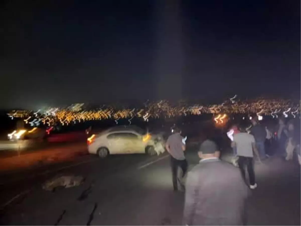 Elazığ\'da Koyun Sürüsüne Otomobil Çarptı