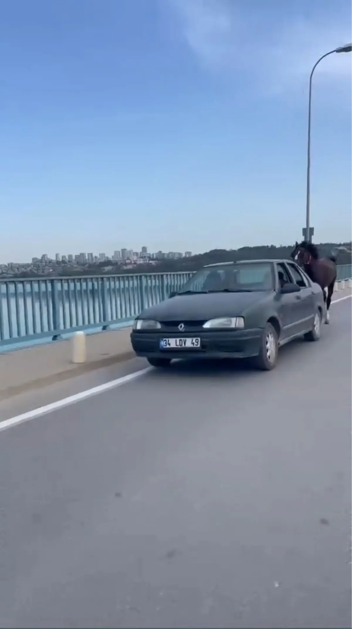 Atla Otomobil Sürmekte Gözaltı!