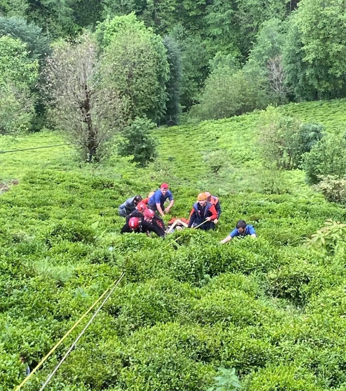 Rize\'de balık tuttuğu dereye düşen kişi çıktığı kayanın üzerinden ekiplerce alındı