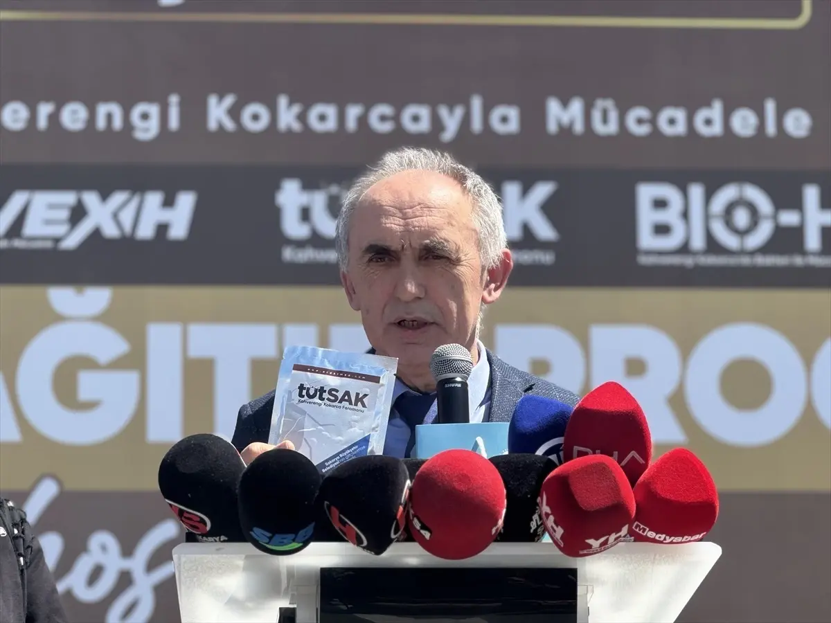 Sakarya\'da Kahverengi Kokarca İle Mücadele