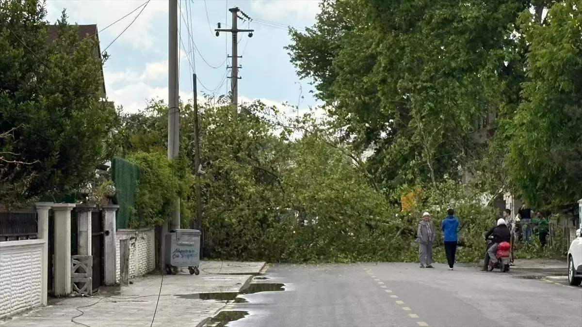 Sakarya\'da Fırtına ve Dolu Hayatı Vurdu