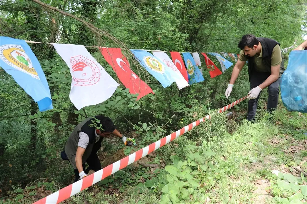 Sakarya ve Düzce\'de Orman Yangınlarına Karşı Etkinlik