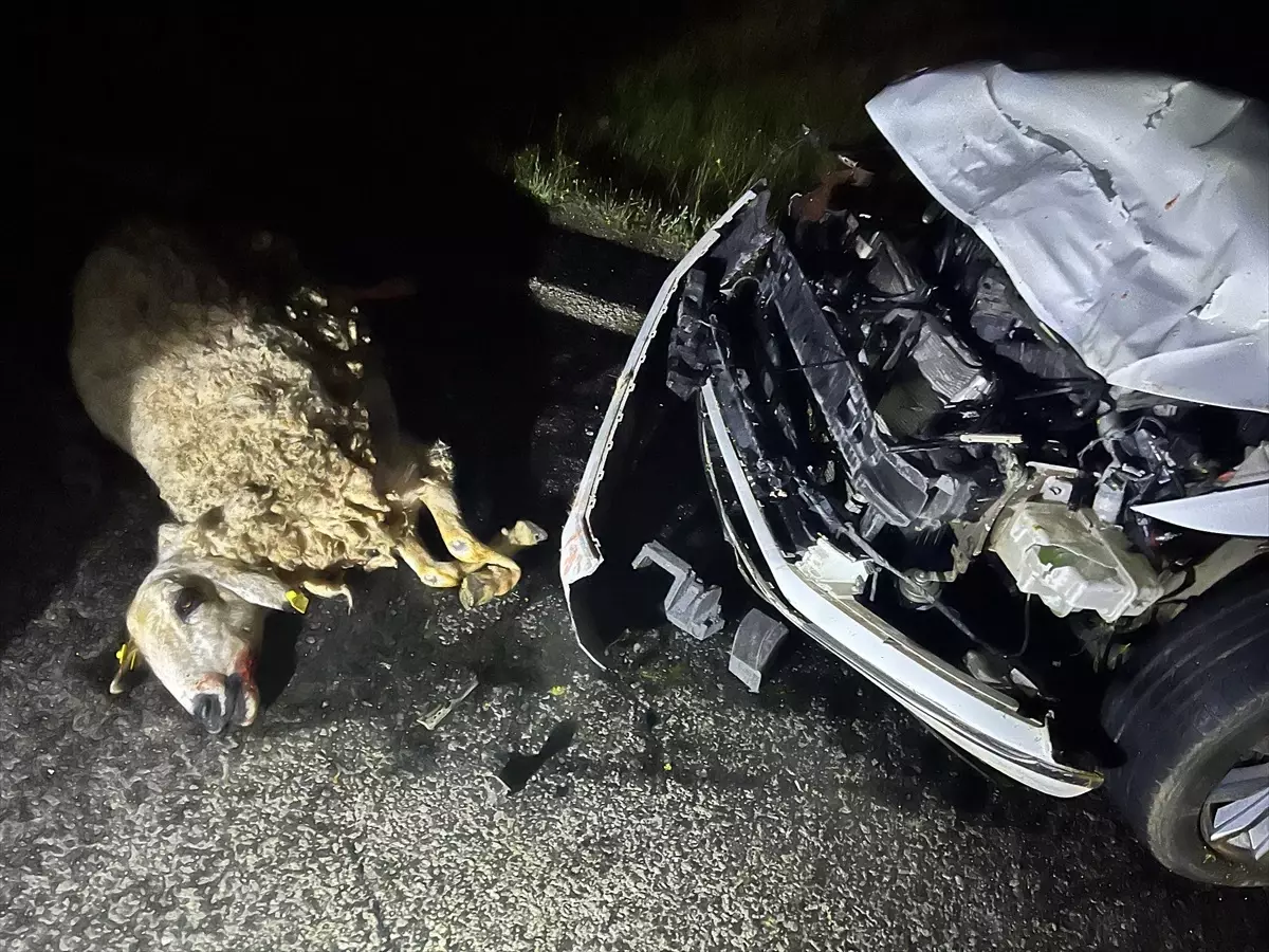 Siverek\'te Koyun Sürüsüne Çarpma Kazası