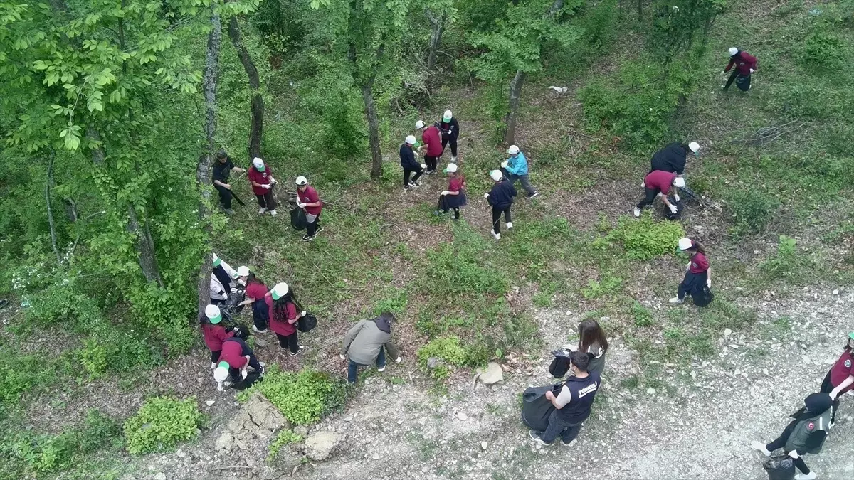 Sinop\'ta Orman Yangınlarına Dikkat Çekildi