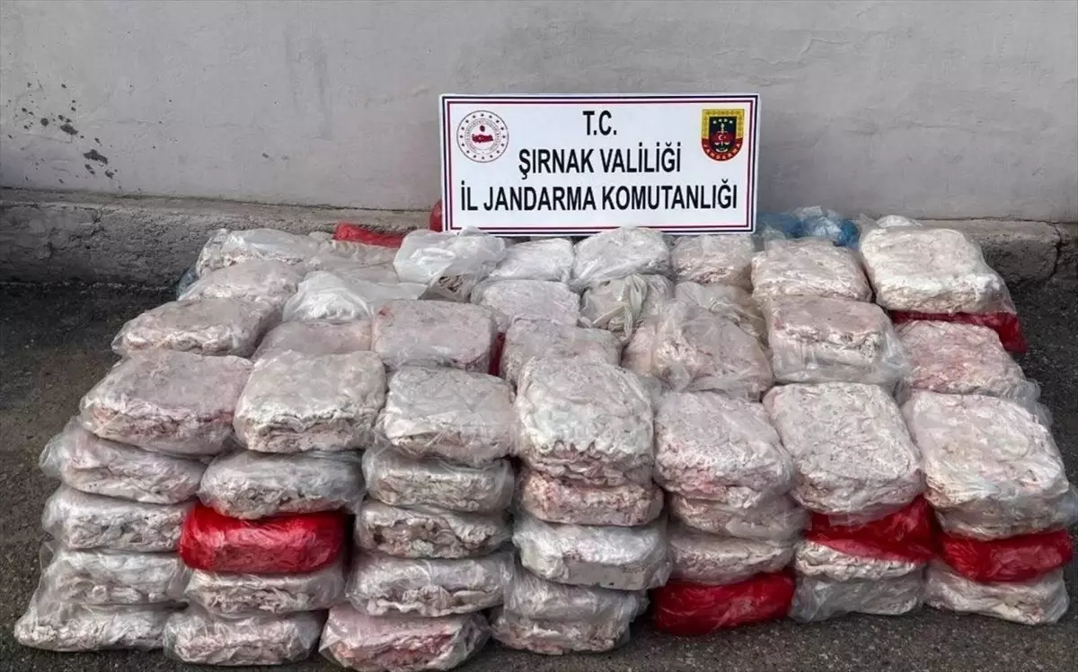 Şırnak\'ta Uyuşturucu ve Kaçakçılık Operasyonu