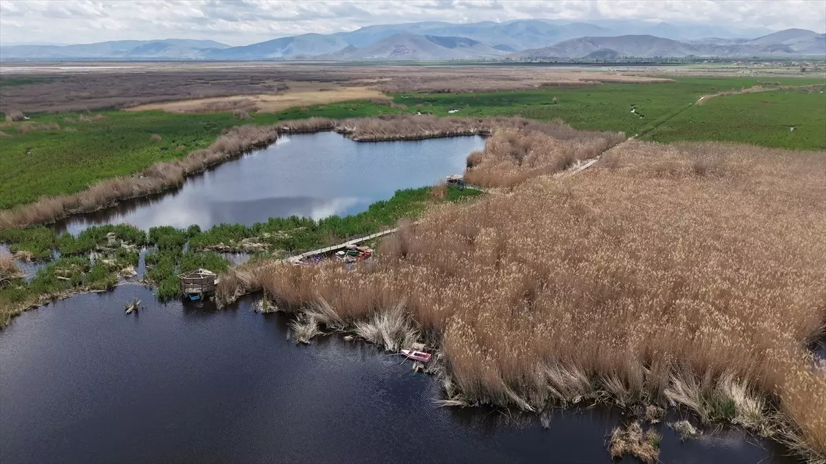 Sultan Sazlığı\'nda Yürüyüş Yolu Çalışmaları