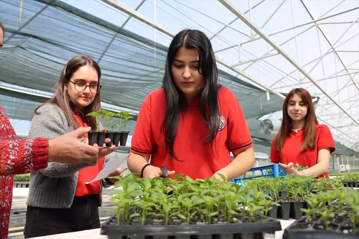 Erzincan\'dan 1 Milyon Fide Hedefi