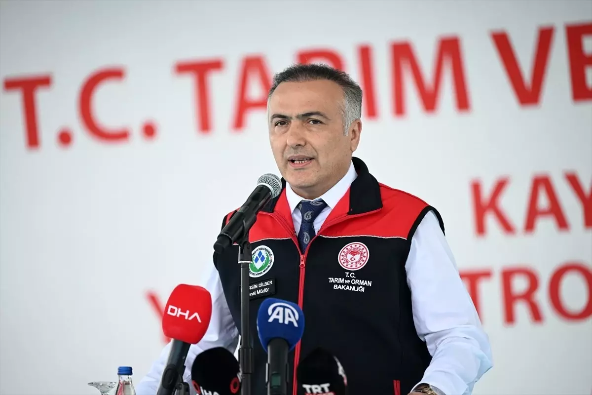 Kurbanlık Hayvan Yeterli