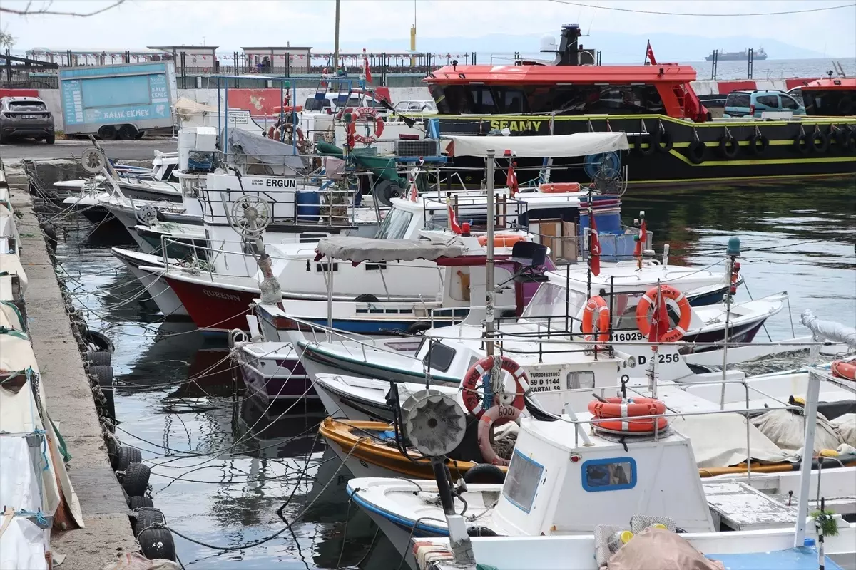 Tekirdağ\'da Taze Balık Avı Devam Ediyor