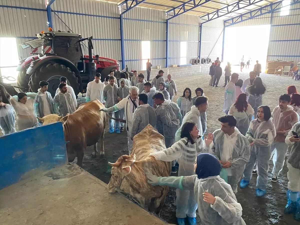 TOGÜ\'den Veteriner Öğrencilere Uygulamalı Eğitim