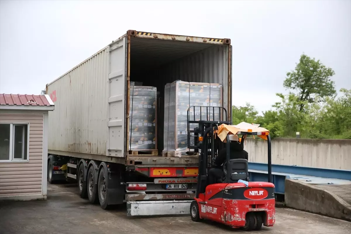 Ordu\'dan 1000 Ton Bal İhracatı Hedefleniyor