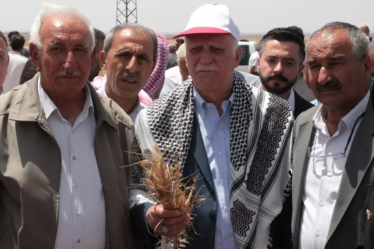 Kuraklık Şırnak\'taki Tarımı Tehdit Ediyor