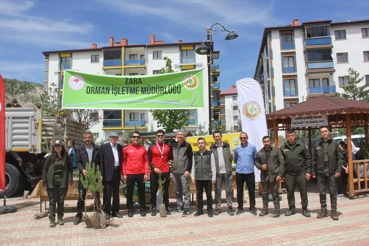 Zara\'da Ücretsiz Fidan Dağıtımı