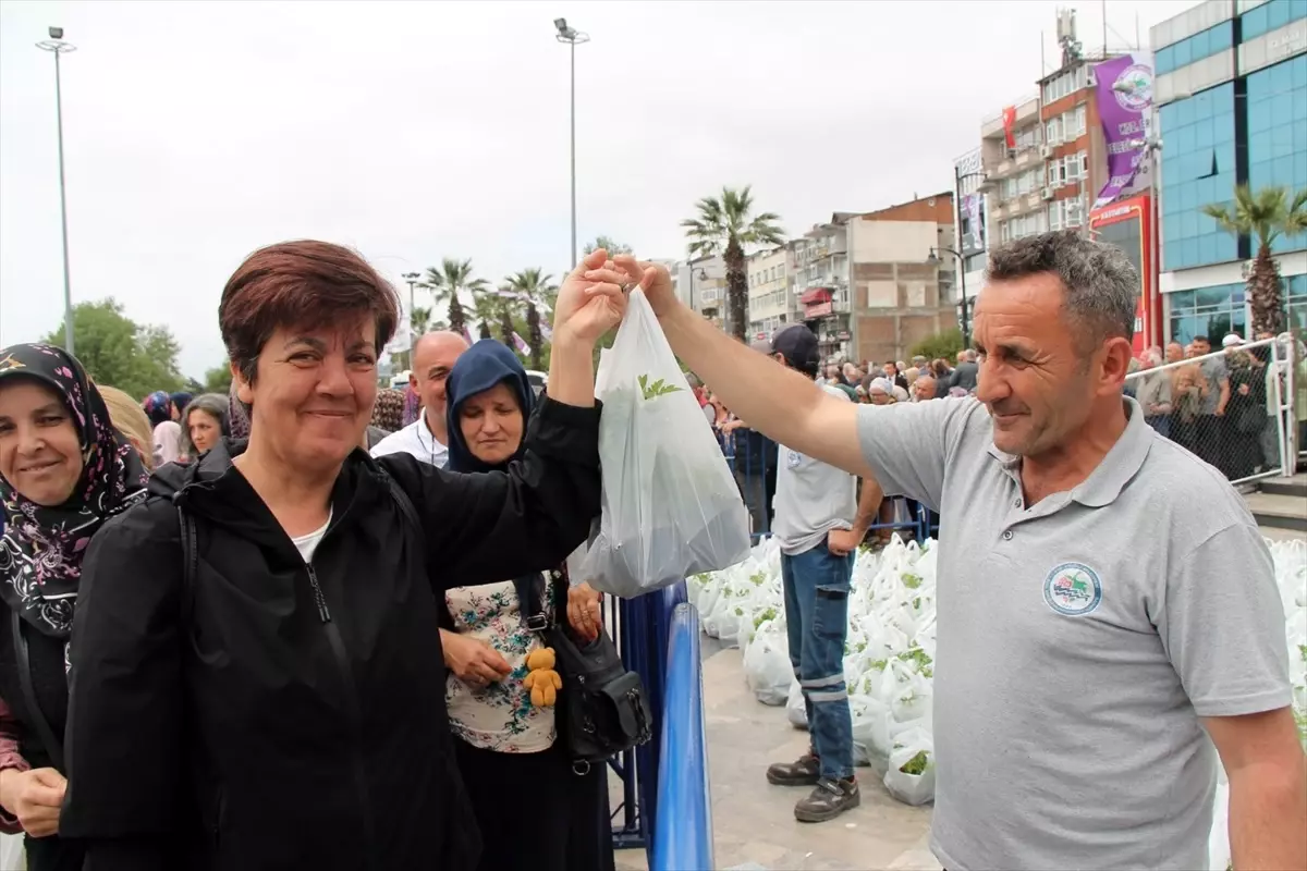 Ereğli\'de 350 Bin Sebze Fidesi Dağıtıldı
