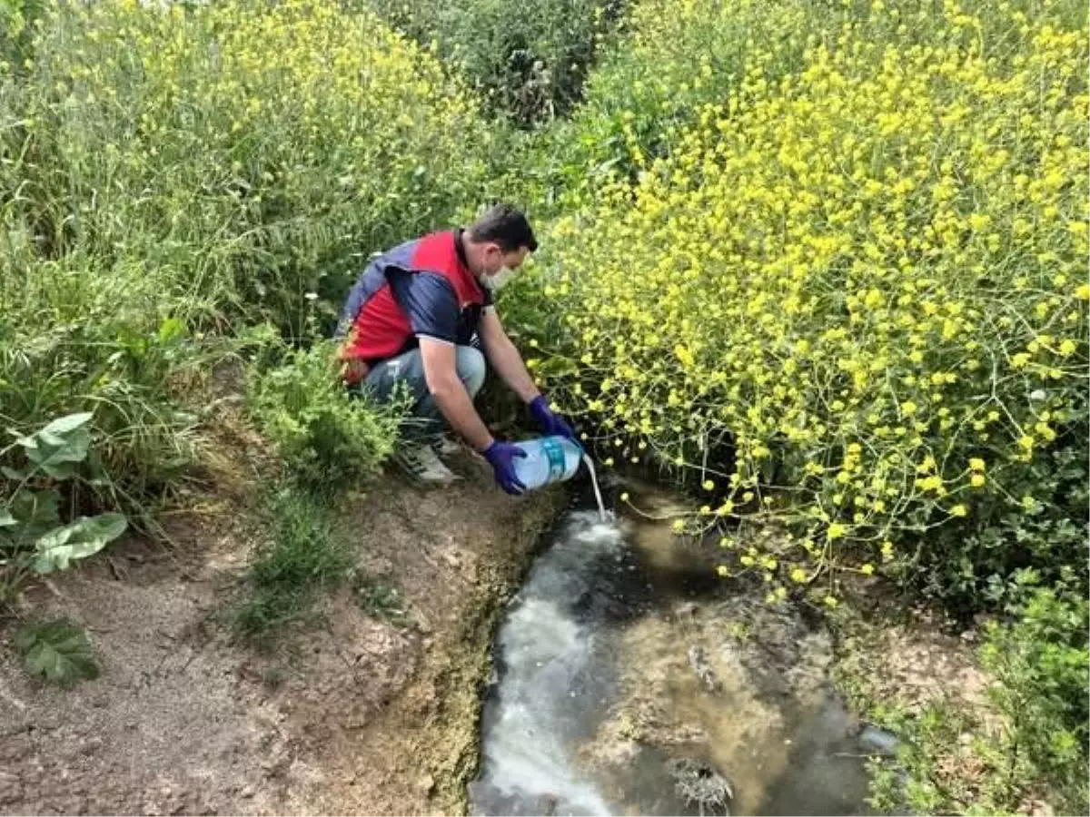 Çanakkale\'de Sivrisinek Mücadelesi Başladı