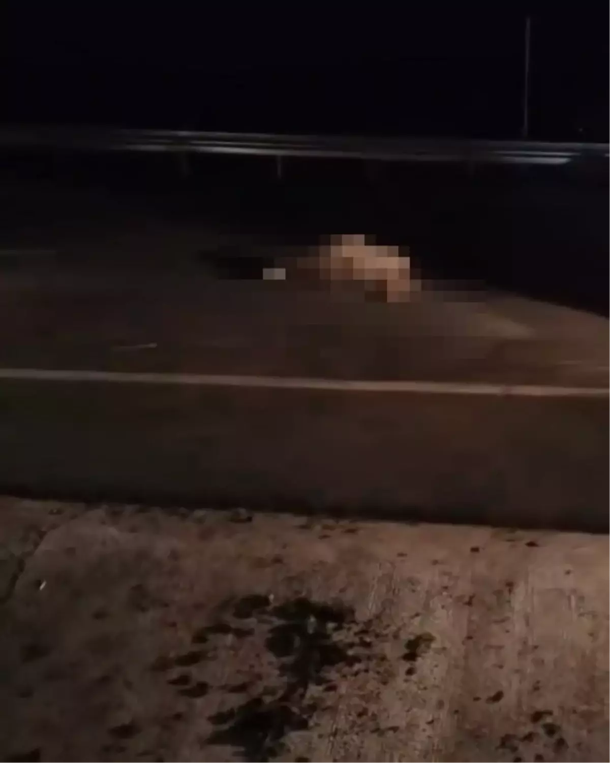 Elazığ\'da Koyun Sürüsüne Çarpma Kazası