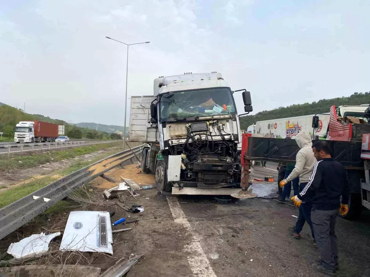 Bolu\'da Uyuyan Sürücü Tırı Devrildi