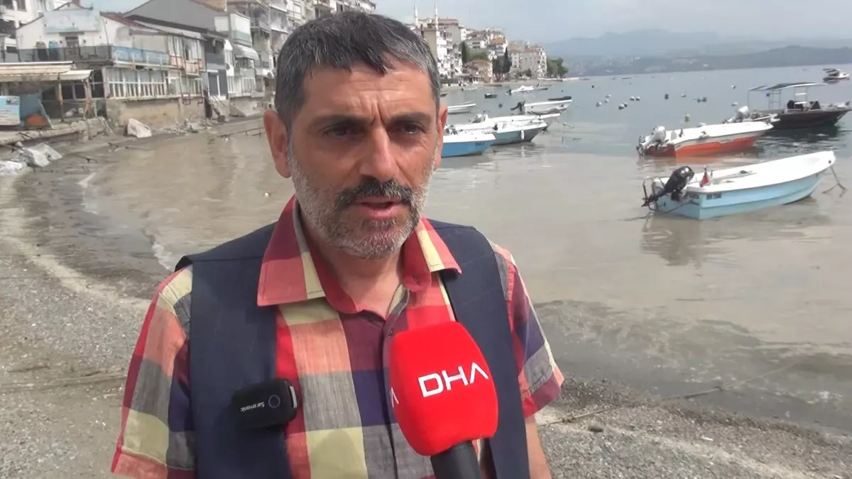 Gemlik\'te Müsilaj Endişesi Artıyor