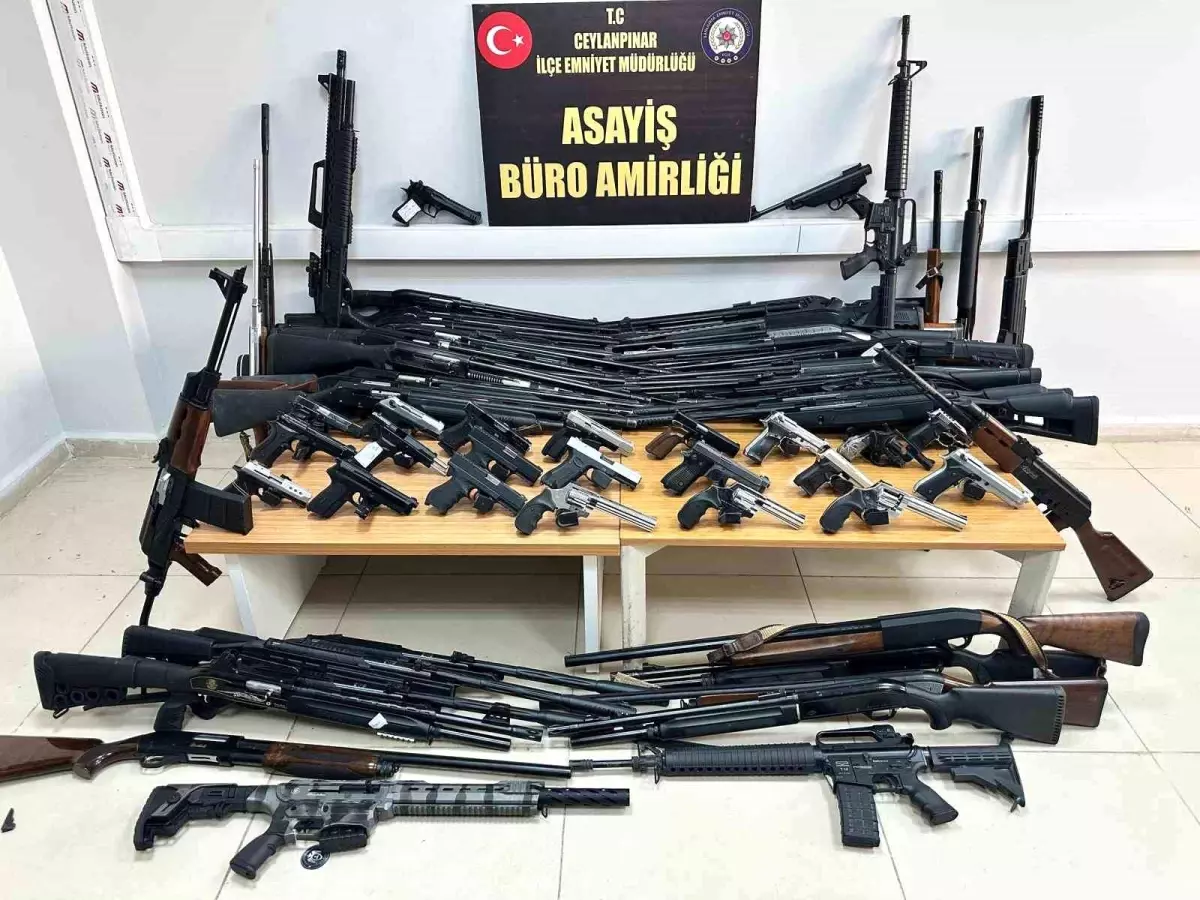 Ceylanpınar\'da Silah Kaçakçılığı Operasyonu